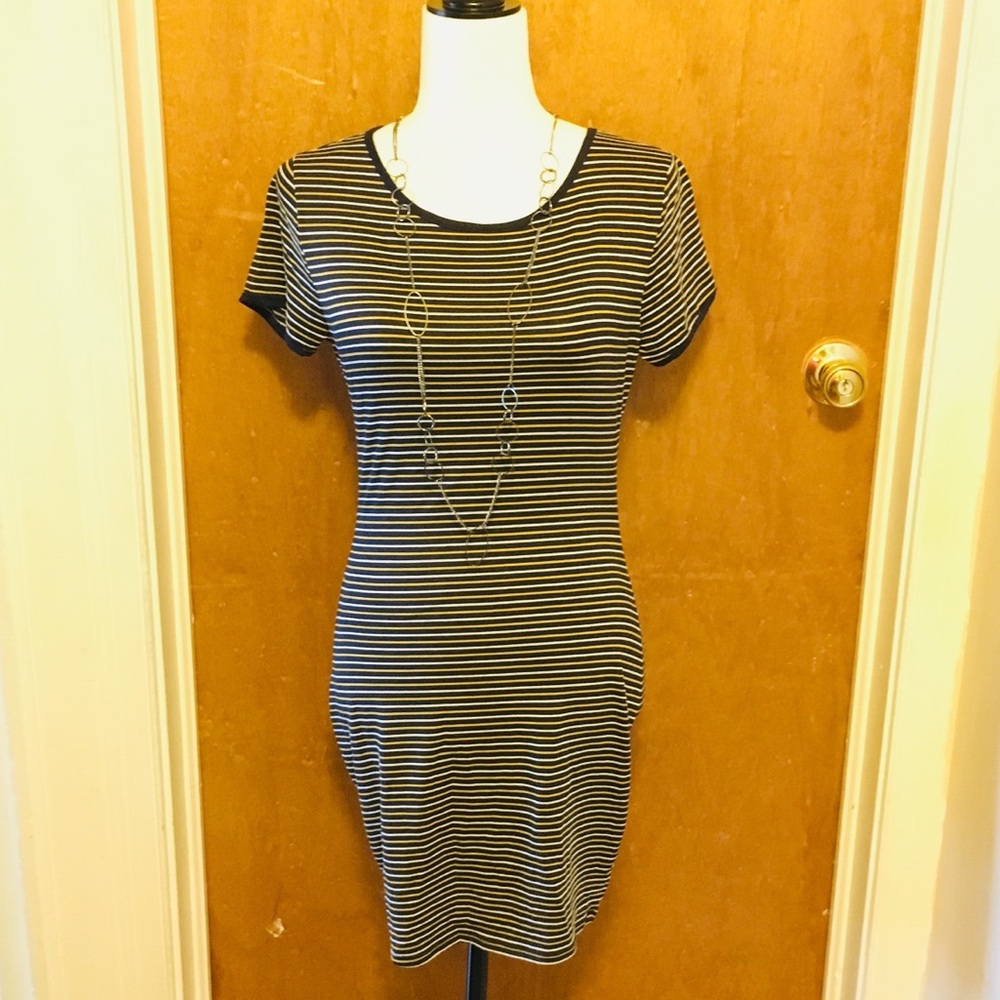 NWOT Rolla Coaster knit fitted dress